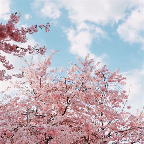 Spring Nature Sky Wallpapers Wallpaper Cave