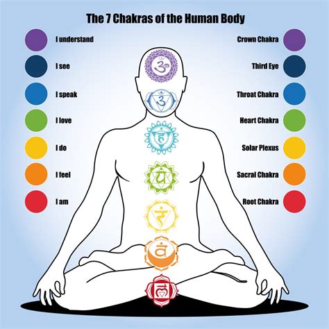 Chakras Of The Human Body Psychic Chakra Spa