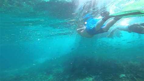 Snorkeling In Marathon In The Florida Keys Youtube