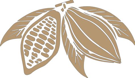 Cacao Chocolate Plant Transparent Png Stickpng
