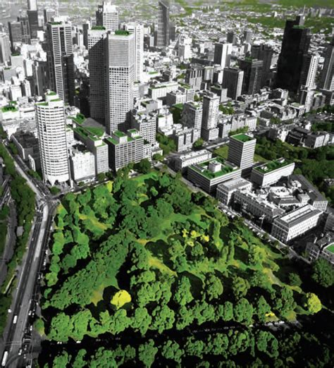 An Urban Forest In Melbourne Australia Helps To Keep The City Cooler
