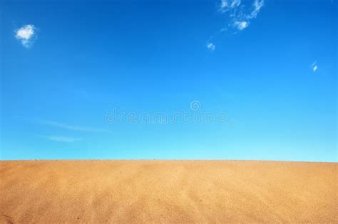 Tree Desert Dune Sand In Blue Sky Background 4k Hd Nature Wallpapers Images