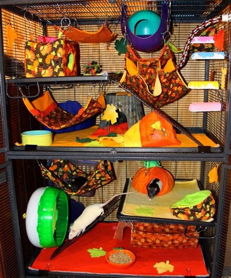 amazing savings  small animal toys critter nation cage pet rat cages cute rats