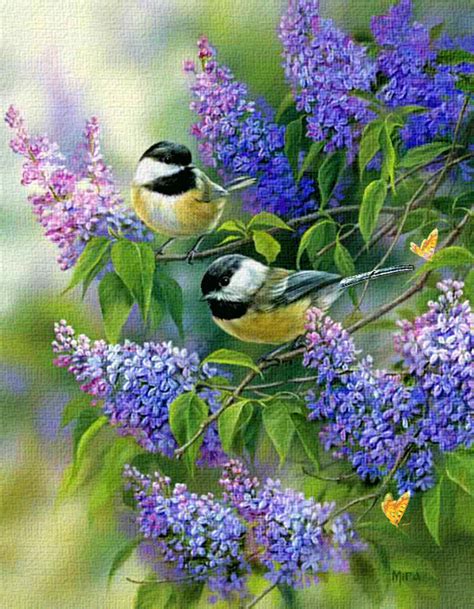 Animated Birds Photo Beautiful Flowers Birds And Bfs