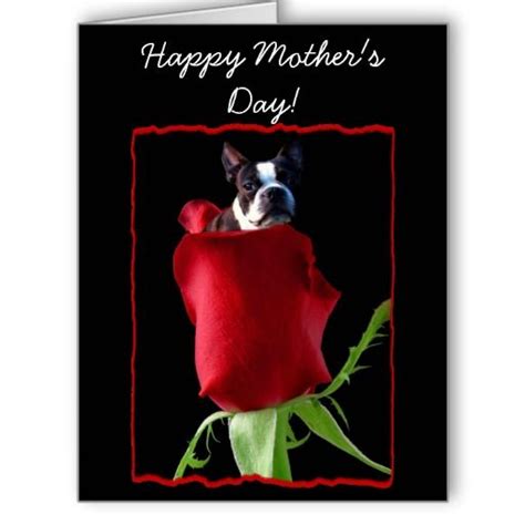 Happy Mothers Day Boston Terrier Greeting Card Happy