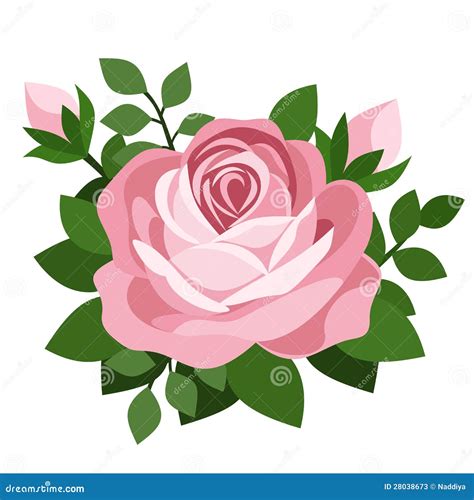 Pink Rose Vector Illustration Stock Photos Image 28038673