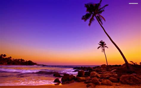 Tropical Beach Sunset Colors Wallpaper Sunset Pictures Sunset Colors