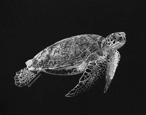 Jun 30, 2019 · stationary art was just that: Sea turtle drawing on black paper. | Black paper drawing, Black paper, Paper drawing