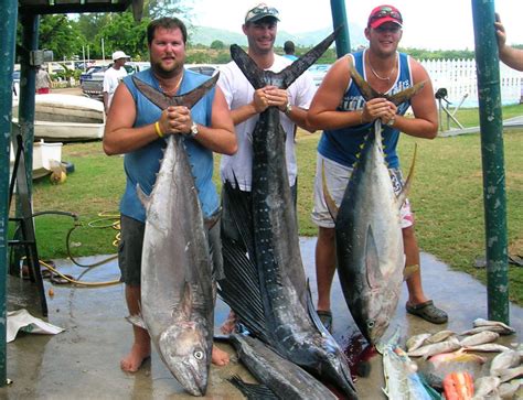 Big Game Fishing In Mauritius With Vacances Aventures Vacances Aventures