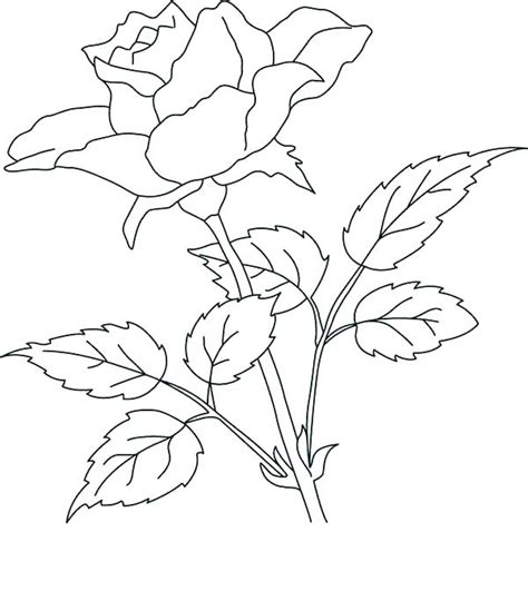 It is possible to download these picture, click on. Realistic Rose Coloring Pages at GetColorings.com | Free ...