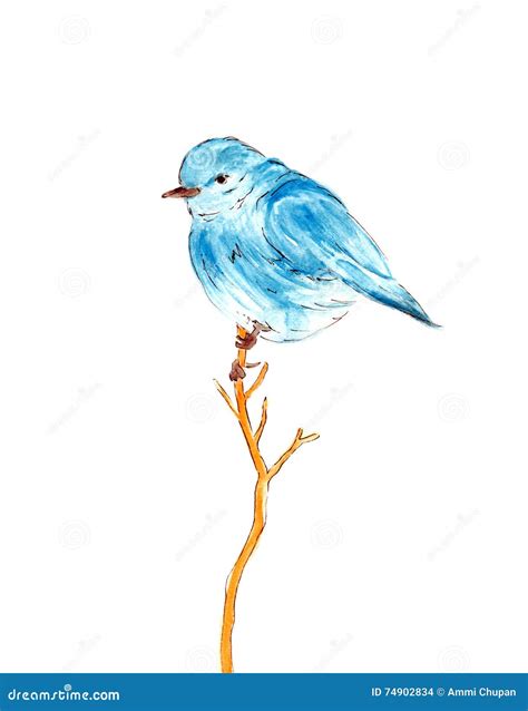 Blue Bird Water Color Drawing Illustration On White Background Stock