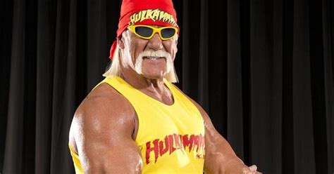 What Is Hulk Hogan Doing Now Since He Retired From Professional Wrestling