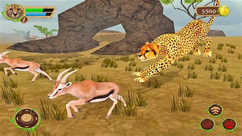 Savanna Simulator Wild Animal Games Cheetahs Story Youtube