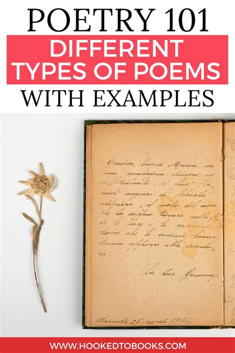 Poetry 101 13 Different Types Of Poems With Examples In