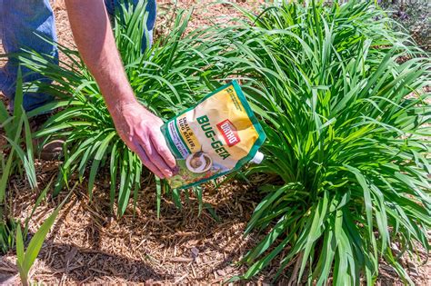 In order for a garden to be considered a pollinator garden, it should provide (but not limited to) the following: DIY Network : Plan a Pollinator Garden | Sponsored ...
