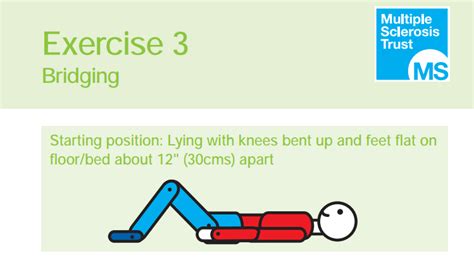 The Ms Trust Exercise Guide Chilterns Ms Centre