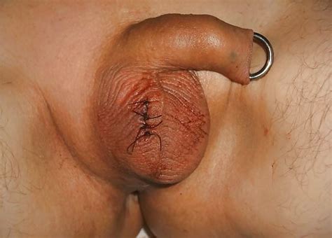 Valenn Castration Penectomy Disembowelment And Bisection The Best