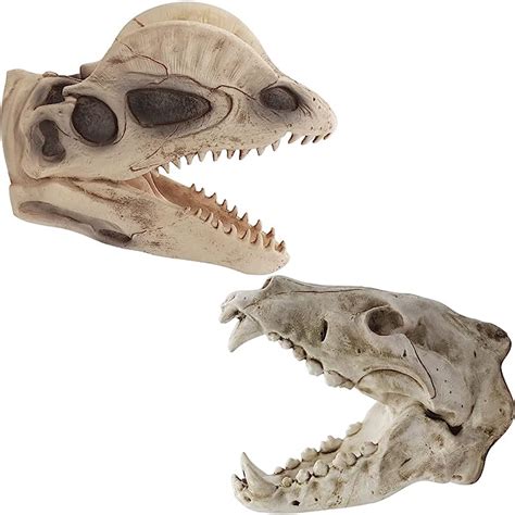 Buy Yolococa Dinosaur Skull Hand Puppets Dino Raptor Toys Latex