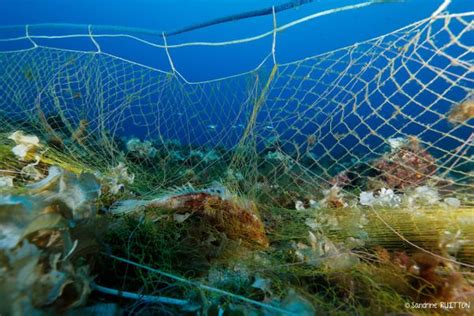 Un Appel à Projet Lancé Pour Récupérer Et Recycler Les Filets De Pêche Perdus En Méditerranée