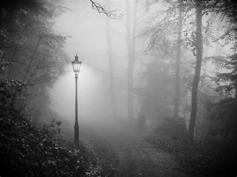 Foggy Light Fabio C Flickr