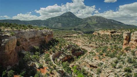 Ancient Pueblo Rock Carvings Discovered In Colorado Photos Wichita Eagle