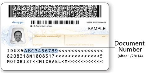 37 Pdf Sample Driver License Back Free Printable Download Docx Zip