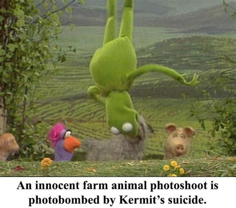 26 Funny Kermit Memes  Woolseygirls Meme
