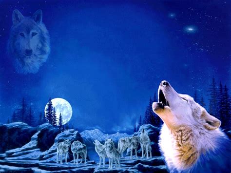 Howling Wolf Wallpaper Wallpapersafari