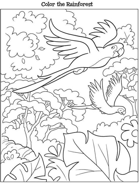 Download 109 Rainforest Animals Color By Number Coloring Pages Png Pdf