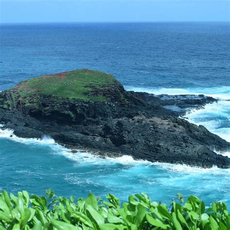 Kilauea Lighthouse Kauai All You Need To Know Before You Go