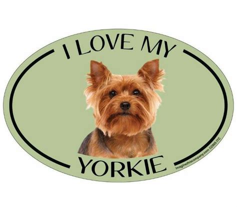 I Love My Yorkie Yorkie Lovers Yorkie Dogs Yorkies Chihuahua Funny