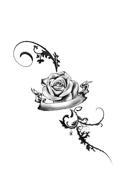 Vine rose, rose page border, angle, white png. Rose Vines Drawings - Cliparts.co