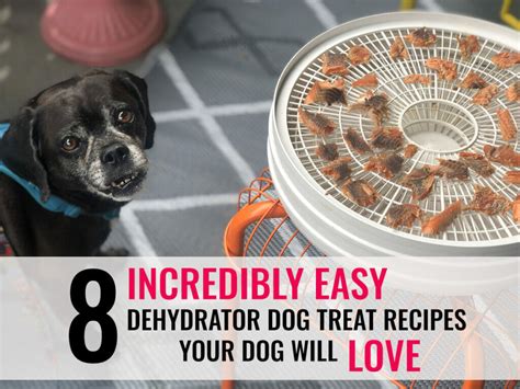 Some dog food manufacturers (usually those of a lesser quality brand) use inferior ingredients to keep the price of making their food and treats low, which only increases. Low Calorie Dog Treat Recipes : 15 Homemade Holiday Dog ...