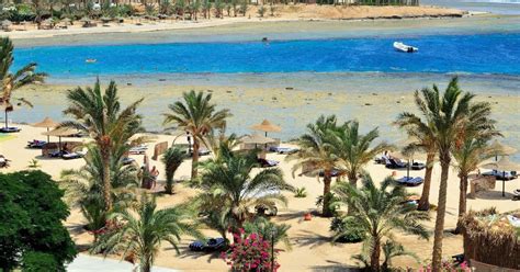 Marsa Alam 2020 Top 10 Tours And Activities With Photos Things To Do