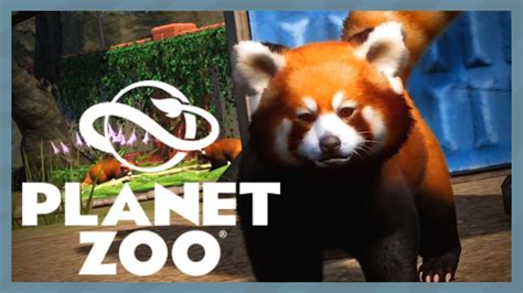 Master Shifu In Planet Zoo Red Panda Revealed Planet Zoo News