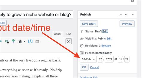 Should You Schedule Out Blog Posts Or Publish Immediately To Grow A