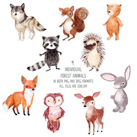 Forest Animals Watercolor Clipart Woodland Animal Clip Art Etsy