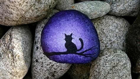 Cat On Branch Silhouette Painting On Rock Speed Acrylic Painting