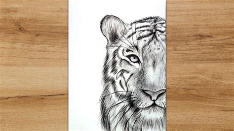 Discover 157 Tiger Face Drawing Easy Best Seven Edu Vn