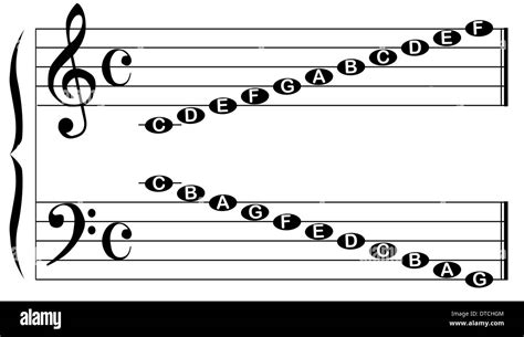 The Names Of The Notes For The Bass And Treble Clef Isolated On White