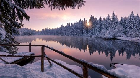 1366x768 Winter Snow Trees Nature Outdoors 1366x768