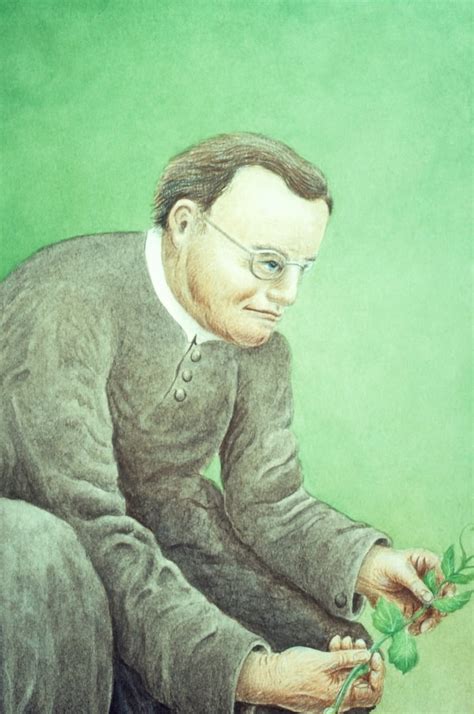 Gregor Mendel Father Of Genetics Rolled Canvas Art Science Source 24