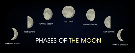 The Phases Of The Moon 594262 Vector Art At Vecteezy