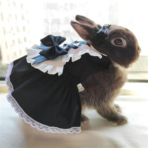 Bunny Rabbit Harness Dress Leash Set Small Pet Clothes Summer Etsy