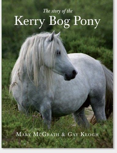 kerry bog pony  definitive guide  irelands  national equine breed   small