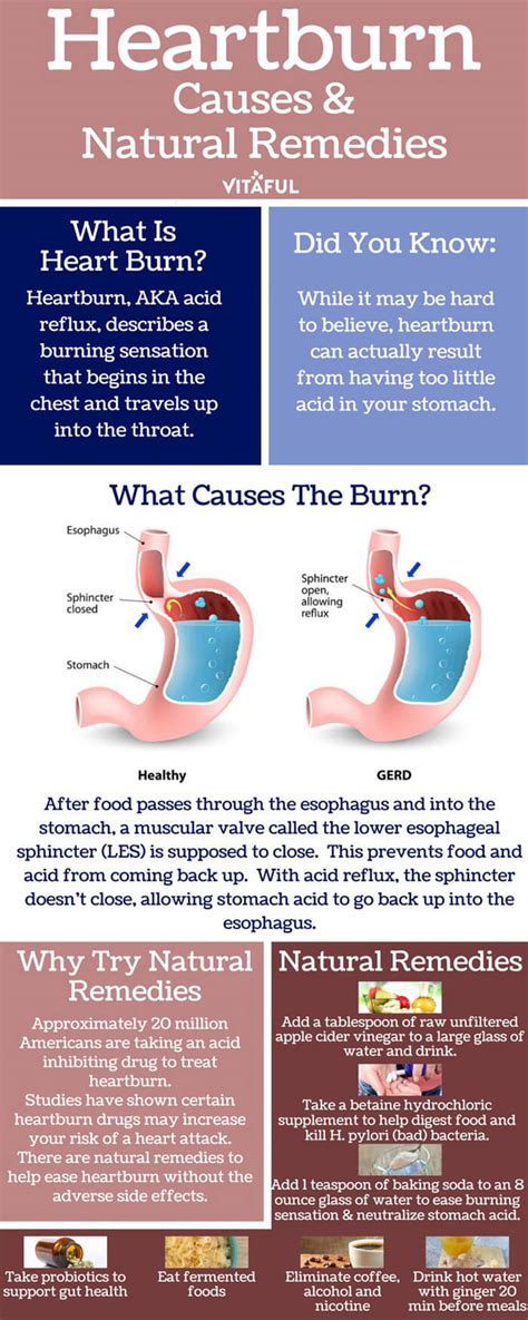 There are different foods that we can eat that may help with heartburn. 11 Natural Remedies To Fight Acid Reflux (Infographic)