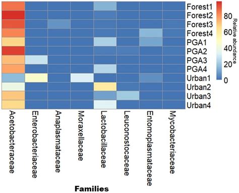 Heat Maps Showing The Relative Abundance Of Dominant Bacterial Families Download Scientific