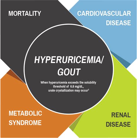 Gout Comorbidities Kidney Heart And Bone Complications For Hcps