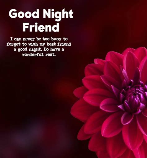70 Unforgettable Good Night Messages For Friends Littlenivicom
