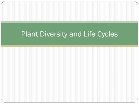 Ppt Plant Diversity And Life Cycles Powerpoint Presentation Free